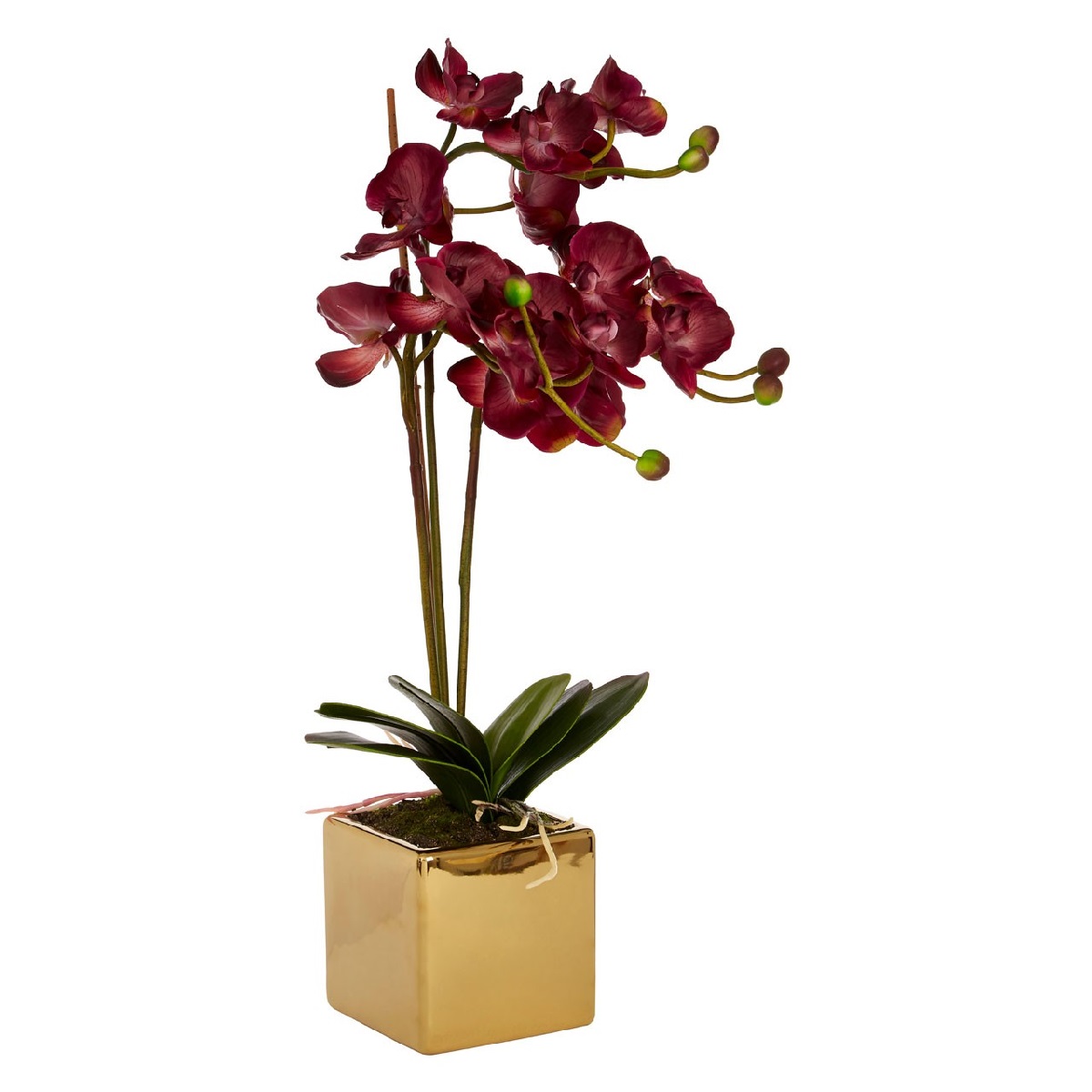Premier Housewares Aubergine Orchid Faux Plant in Gold Pot
