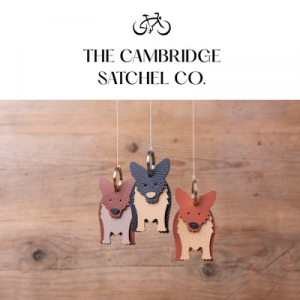 Introducing The Corgi Curio at The Cambridge Satchel Co.