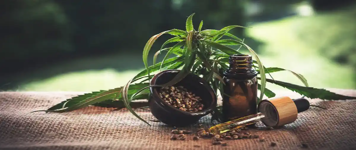 hemp oil, premium cbd oil products