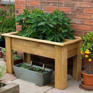 Forest Garden Grow Bag Tray