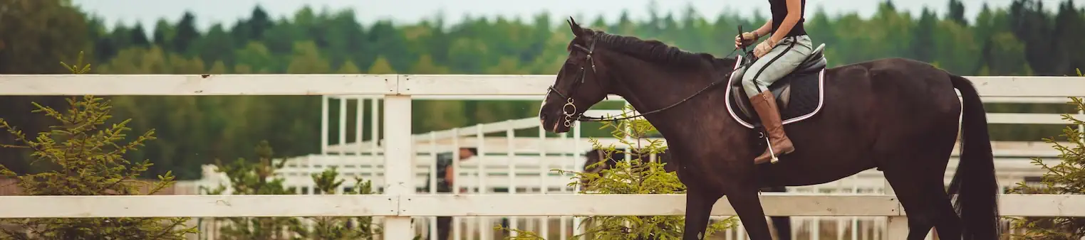 Discounted country clothing, stable & field supplies from Equestrian Co using voucher codes