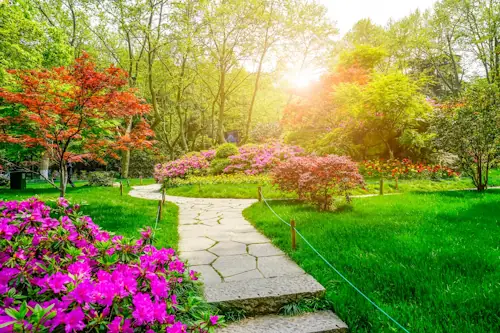 Transform Your Garden. Budget-Friendly Garden Ideas
