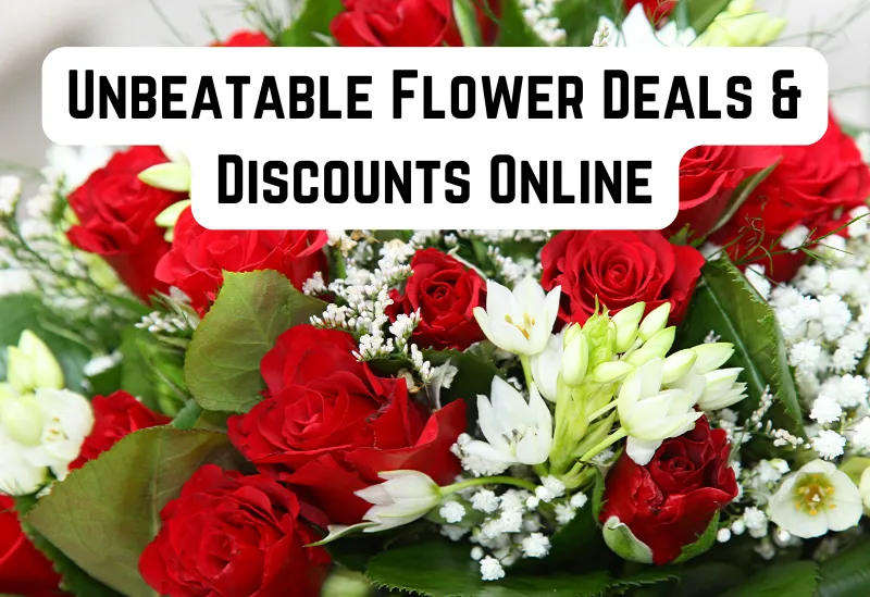 Best flower deals online with discounts and promo codes for florists and flower shops