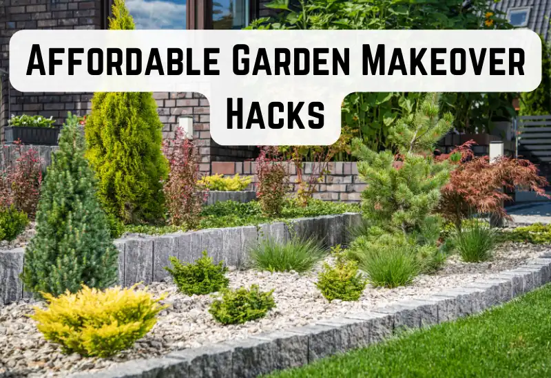A beautifully transformed garden with budget-friendly decorations and plants.