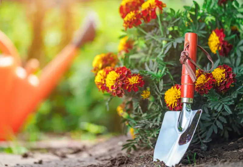 A selection of discounted garden tools available from UK retailers like B&Q, Homebase, and The Range.