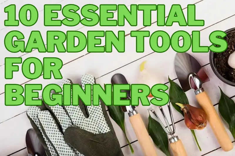 10 Essential Garden Tools for Beginners