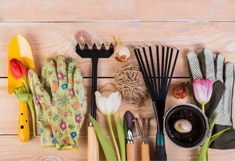 A table with various hand tools neatly arranged, including pruners, trowels, shears
