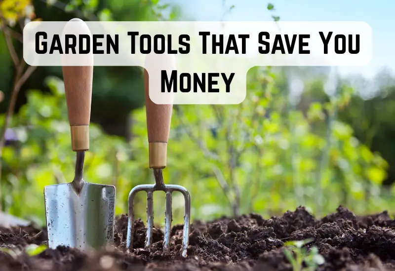 Selection of the best garden tools on a budget, including hand trowels, pruners, and gloves displayed on a wooden bench outdoors