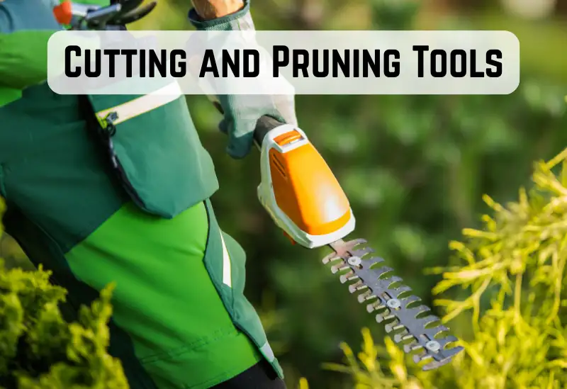 A pair of pruning shears and a hand saw lie on a grassy patch, surrounded by freshly cut branches and trimmed bushes