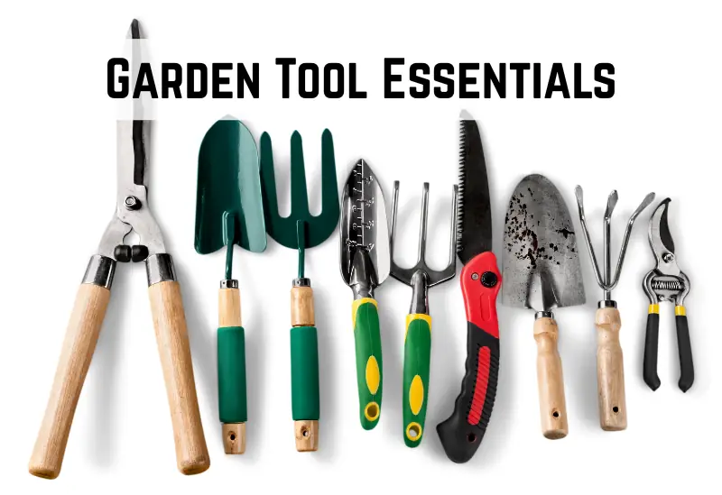 A variety of essential garden tools neatly arranged on a budget-friendly display
