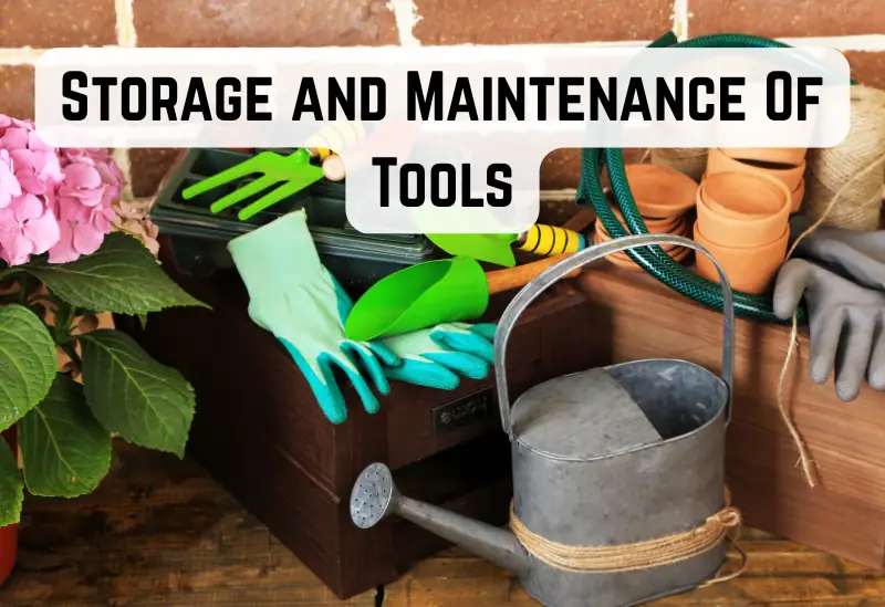 Garden tools neatly stored and maintained in a shed, including hanging rakes, cleaned pruners, and organized tool racks