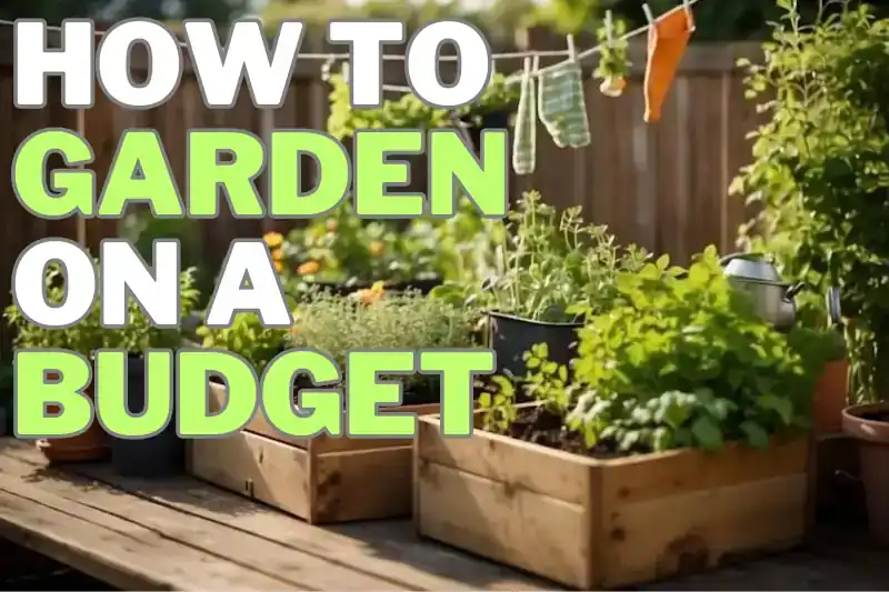 A small backyard with raised beds, compost bins, and watering cans. Potted herbs and vegetables line the edges. A clothesline holds reusable gardening tools