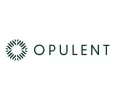 Opulent Co discount codes
