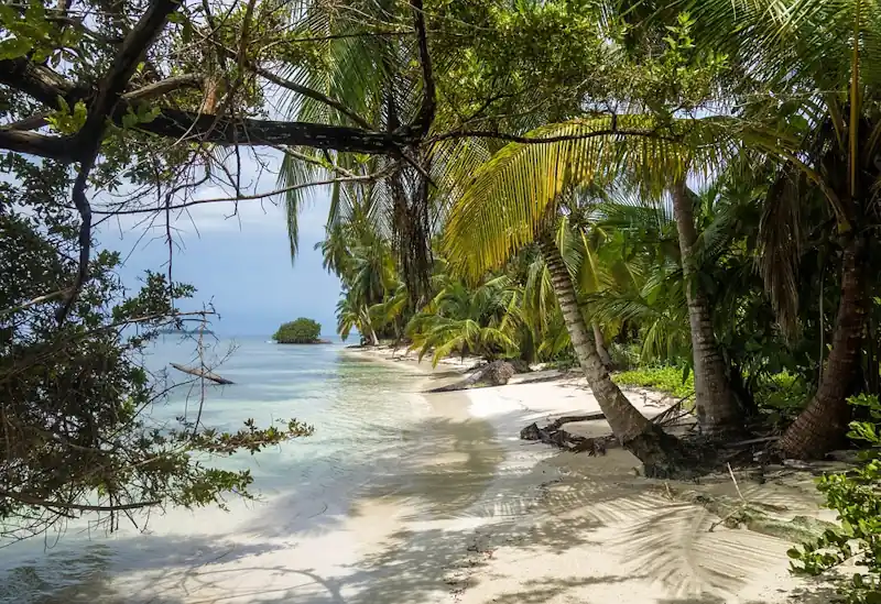 Serene tropical beach at sunset with palm trees, inspiring tips on how to save money on travel in 2026
