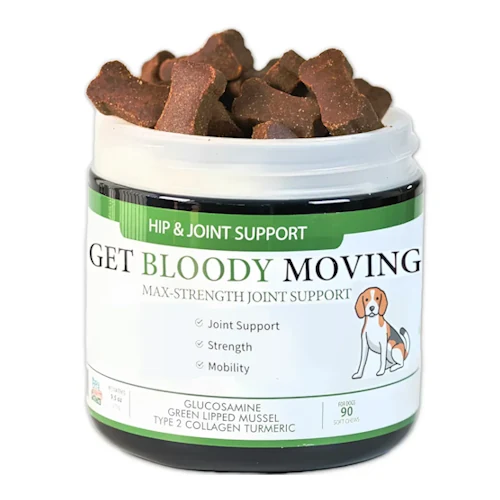 Top Joint Health Supplements for Dogs to Support Mobility.