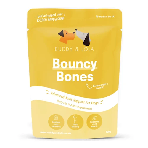Best Joint Supplement for Dogs to Relieve Pain and Improve Movement.