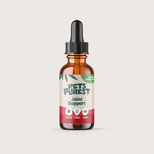 High-Quality Joint Supplements for Dogs at Affordable Prices.
