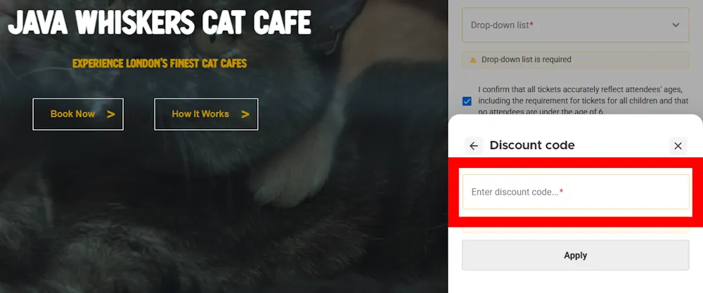Screenshot showing where to apply a Java Whiskers code on javawhiskers.co.uk