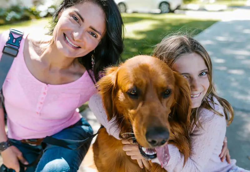 A couple sitting outdoors with a happy golden retriever, highlighting the real‑life costs of pet ownership in the UK.