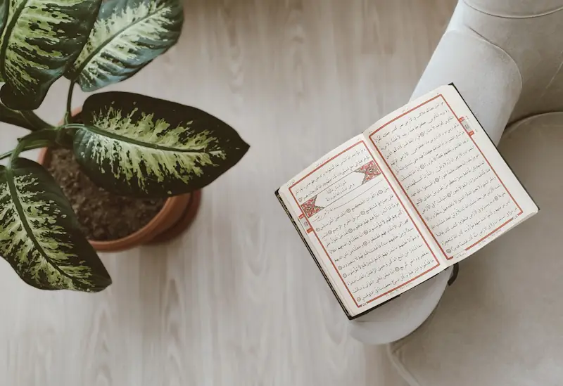 Open Arabic book on a cushioned chair in natural light.